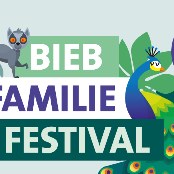 Bieb Familie Festival: drie weken extra veel te doen in de bibliotheek