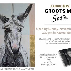 Expositie Lex Grote in Kasteel Geldrop