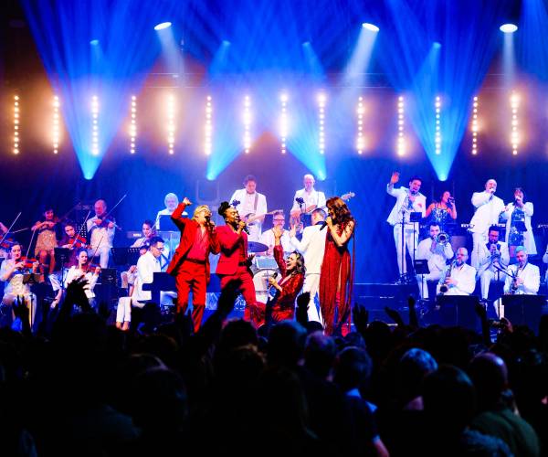 Vrijdag 2 november: Disco Inferno met Discophonic Orchestra - Celebration Edition