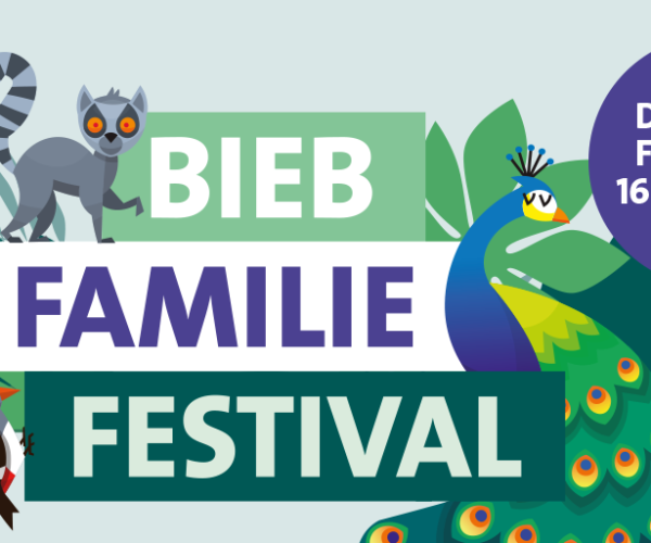 Bieb Familie Festival: drie weken extra veel te doen in de bibliotheek